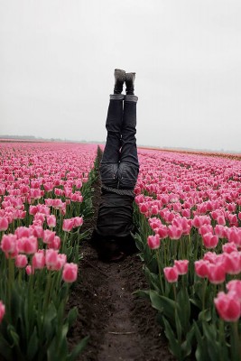 Atlas Netherlands 2013